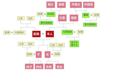 外孫女是直系血親嗎|什麼是民法的親屬？什麼是直系、旁系、尊、卑親屬？｜法律百科 